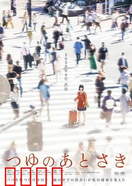 雨季过后：寻找失落的时光