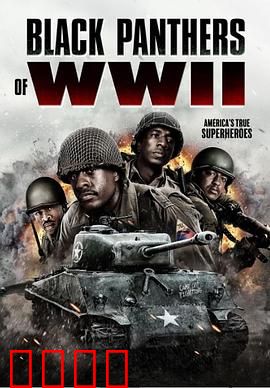 二战黑豹：钢铁洪流