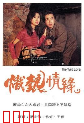 炽热情缘粤语：旧爱重逢