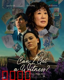我能有个见证人吗：法庭惊魂