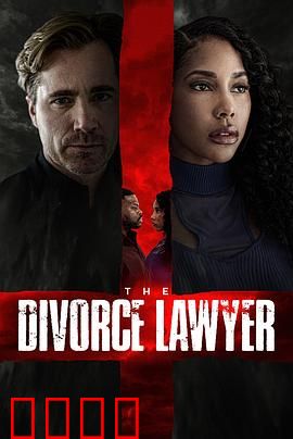 离婚律师：情感博弈