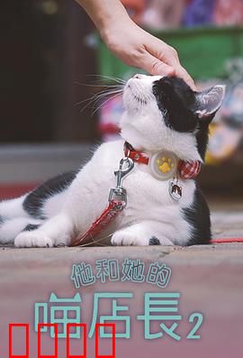 他和她的喵店长2：猫咪情缘再续