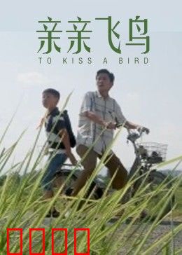 亲亲飞鸟：爱在天空下