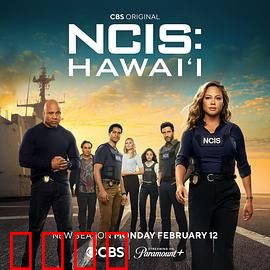 海军罪案调查处：致命伪装