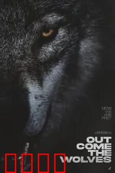 狼群出动：孤军深入