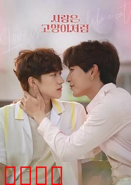 爱情像猫一样：若即若离的温柔