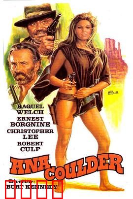 复仇的女枪手：荒野追杀