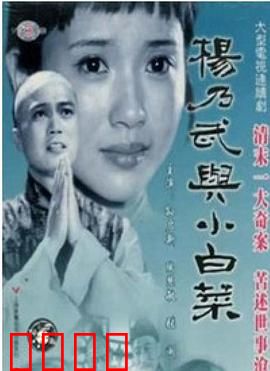 杨乃武与小白菜1990：冤案奇情录