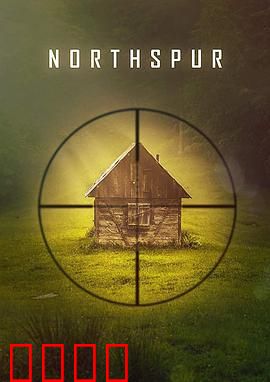 北方之刺：冰刃行动