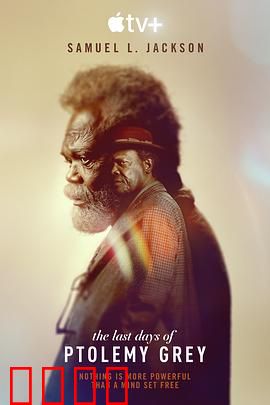 托勒密·格雷最后的日子：记忆的代价