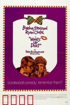 爱的大追踪：喜剧冒险之旅