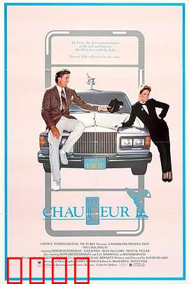 我的司机：一夜救赎