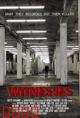 目击者2019：无人可信