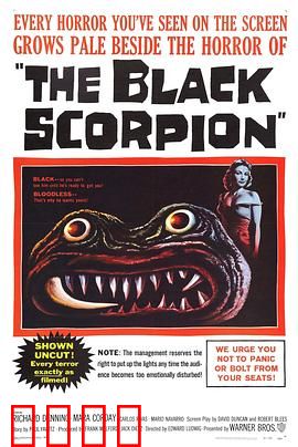 黑蝎：毒刺追杀