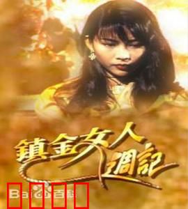 镇金女人周记粤语：职场情场双线作战