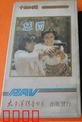 惩罚1980：复仇之夜