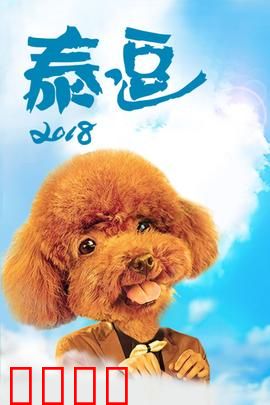 泰逗2018：爆笑囧途奇遇