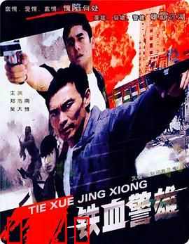 铁血警雄：英雄本色