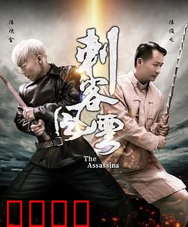 刺客风云：暗影王朝