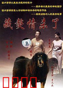 藏獒情未了：人狗情深