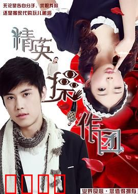 精英操作团：终极行动