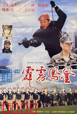 霹雳凤凰：女警热血出击