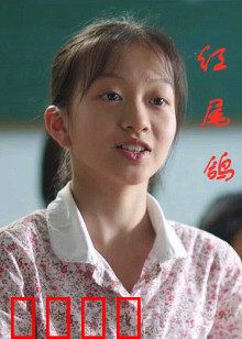 红尾鸽：复仇之翼