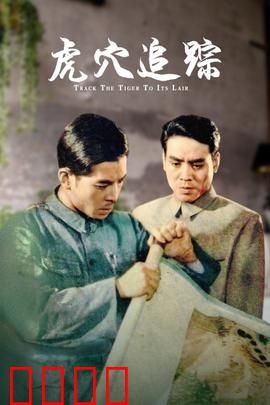 虎穴追踪: 智斗特务