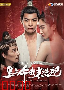 皇上命我来选妃：穿越女逆袭