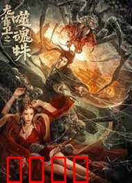 龙雀卫之噬魂蛛：蛛影之谜