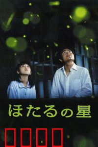 萤火虫之星：照亮黑夜的微光