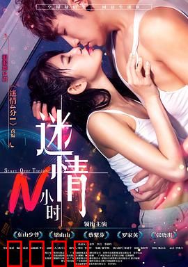 迷情N小时：一夜荒唐