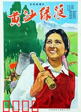 黄沙绿浪：绿洲梦成真