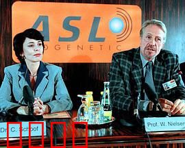 真假疑凶：双重身份之谜