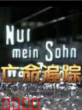 亡命追踪：生死一线间