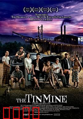 锡矿山：矿下的血与泪