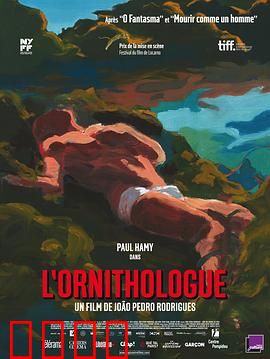 鸟类学家：迷失森林的异教徒