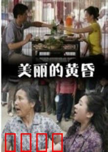 美丽的黄昏：暮年回忆录