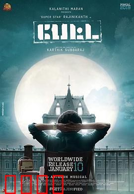 神勇佩塔：丛林逆袭记