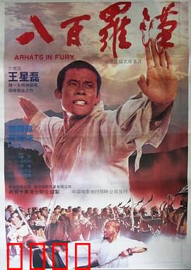 八百罗汉：少林绝技震撼银幕