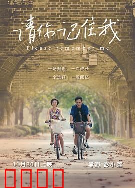 请你记住我：爱与记忆的旅程