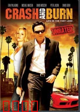 双面神探：卧底迷雾