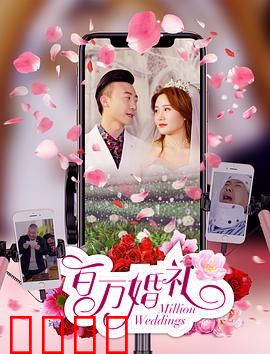 百万婚礼：豪门恩怨