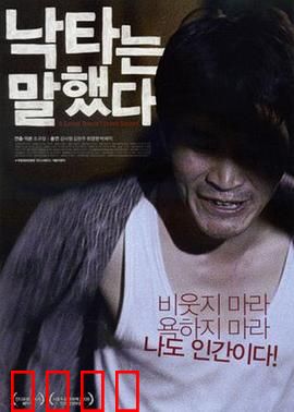 骆驼说话了：沙漠预言家