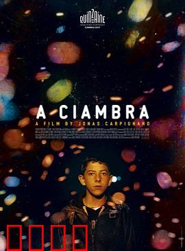 罗姆男孩：暴力成长