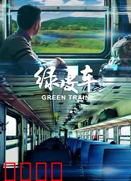 绿皮车：跨越偏见的旅程