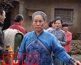 野茱萸：乡土复仇记