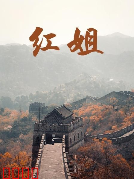 红姐2017：女警卧底生死局