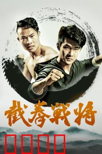 截拳战将：铁拳破敌