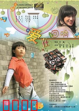 爱在回响：错过的时光